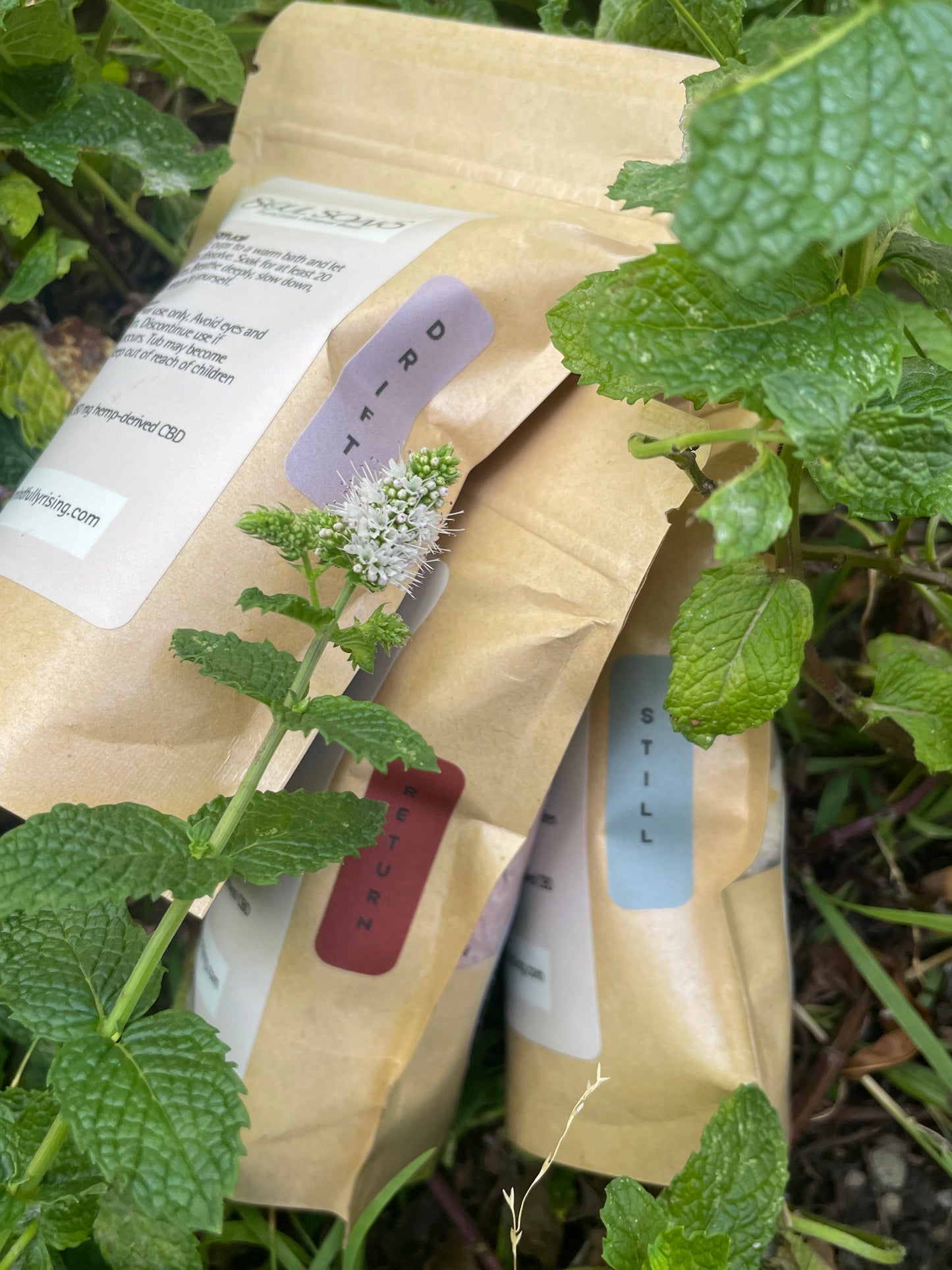 DRIFT: Release The Day – Soul Soaks all three blends nestled in fresh herbs